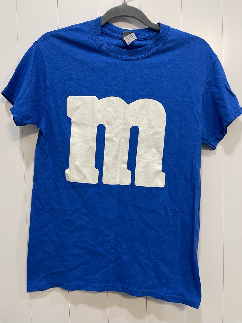 M&M Blue costume Halloween small gender neutral group costume